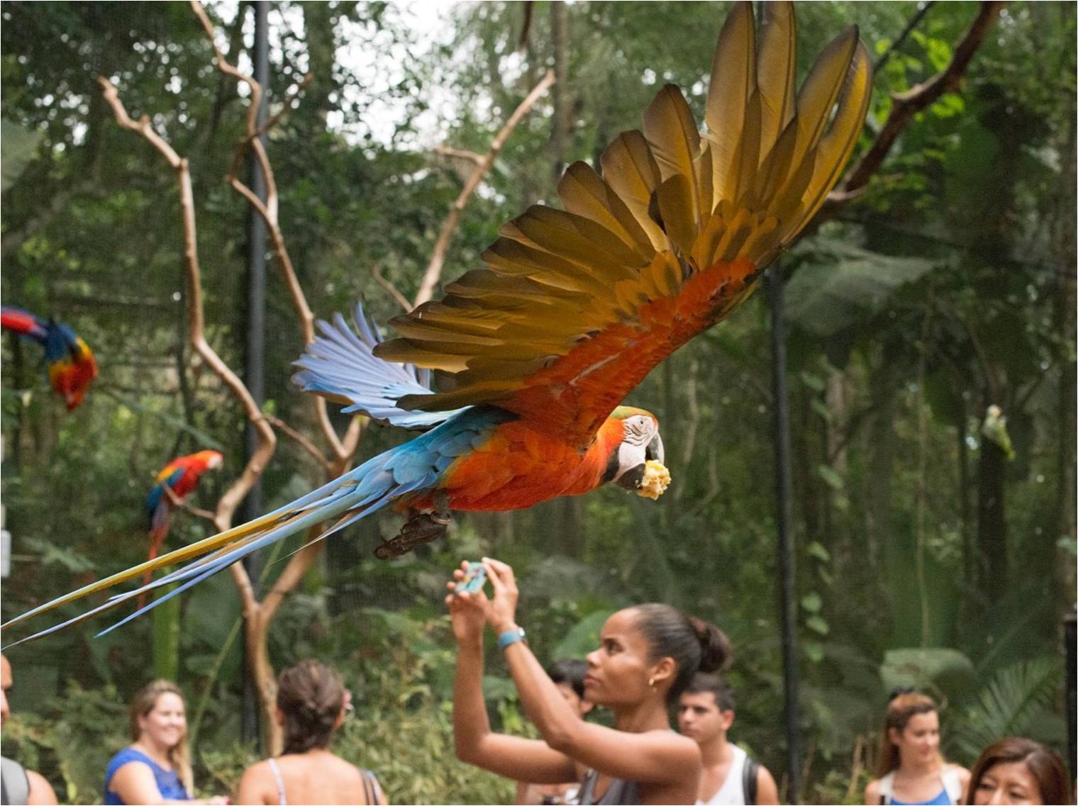 Bird Park